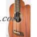 Gold Tone GT-Series M-Bass 4-String Acoustic MicroBass   